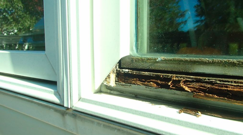 Photo of a Pella window with wood rot. Photo from JLC Online.
