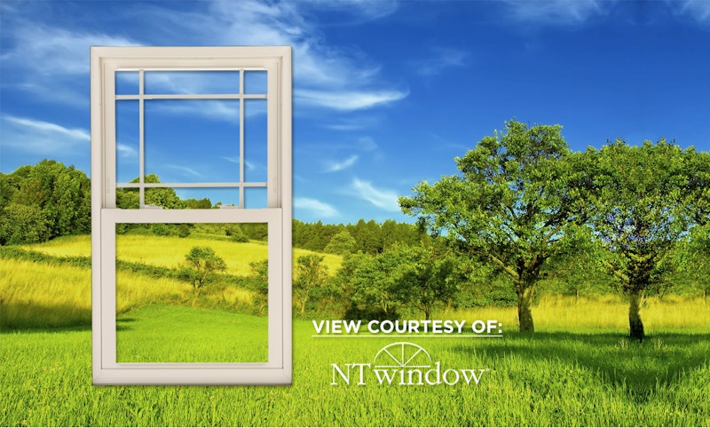 NT window image