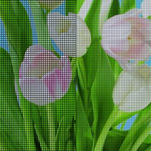 Side by side of BetterVue screen and fiberglass mesh with pink tulips and green stems in background. 